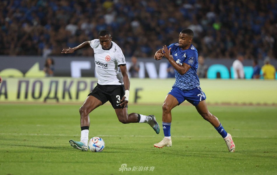 供了展示和 供了展示和